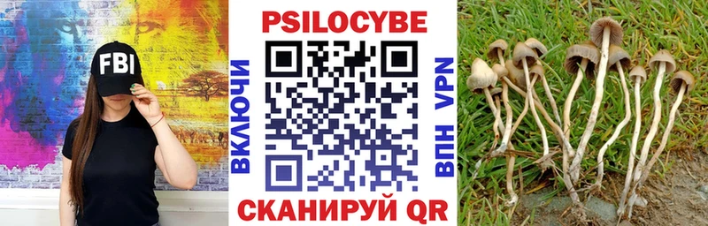 Галлюциногенные грибы GOLDEN TEACHER  Асбест 