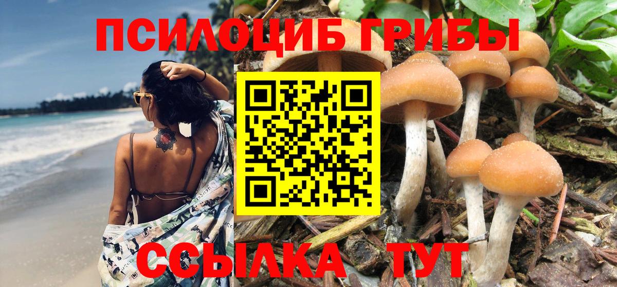 Псилоцибиновые грибы GOLDEN TEACHER Асбест
