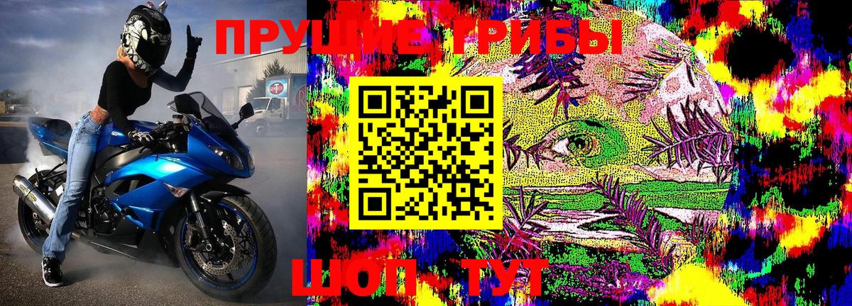 Псилоцибиновые грибы Psilocybe  Вход с VPN  Асбест  где купить   Псилоцибиновые грибы GOLDEN TEACHER 