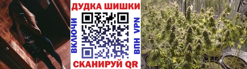 Каннабис планчик  где купить наркоту  Асбест 